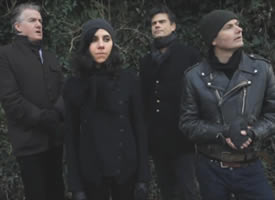 PJ Harvey Video - The Colour Of The Earth